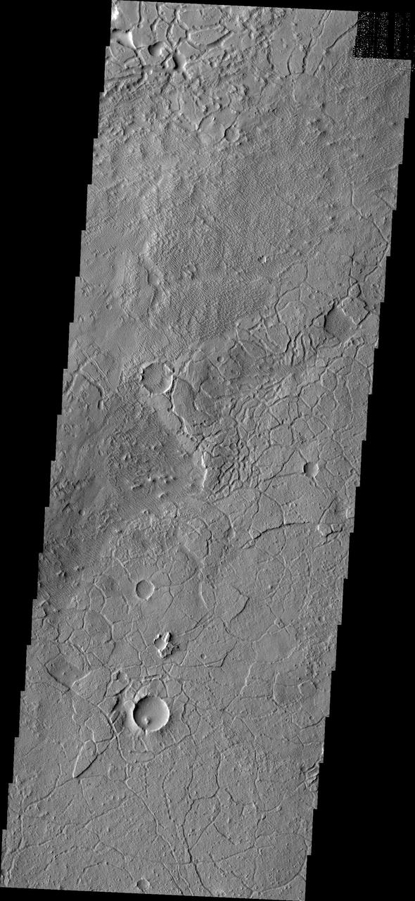 Avenus Colles is a region of hills separated by arcuate fractures. These features are the margin between the southern highlands and Elysium Planitia to the north. This image was captured by NASA Mars Odyssey.