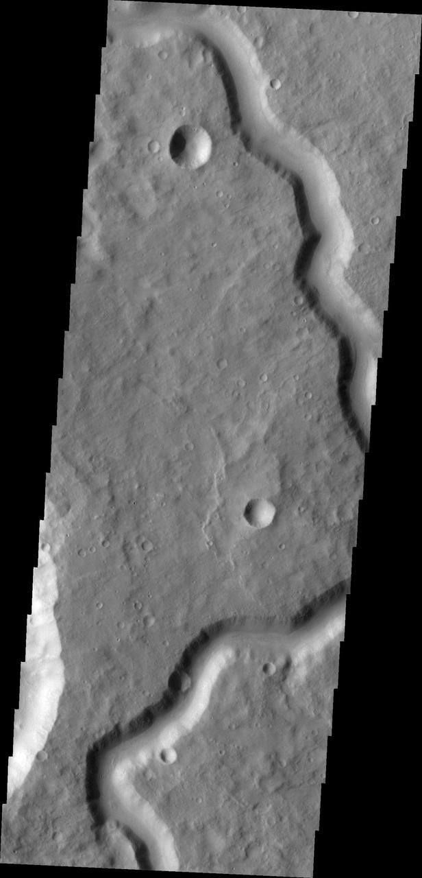 This image from NASA Mars Odyssey shows part of an unnamed channel in Terra Cimmeria.