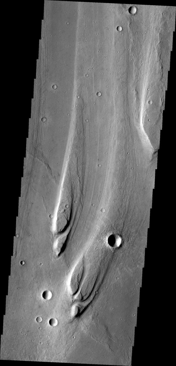 The streamlined islands in this image from NASA Mars Odyssey are located in Maja Valles.