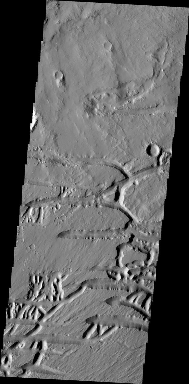 The Kasei Valles region is very complex. This image captured by NASA Mars Odyssey illustrates that complexity with features created by fluvial action channels and tectonic processes fractures.