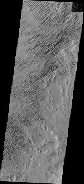 NASA image: Zephyria Planum