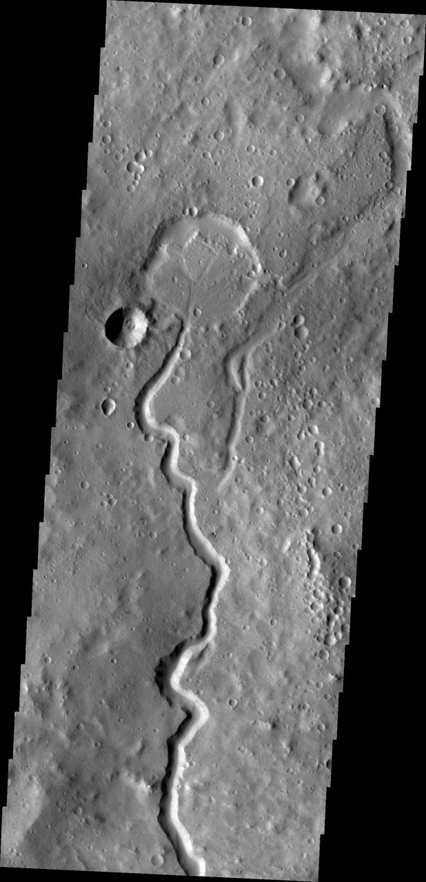 A branch of Nanedi Valles entered a crater and deposited a delta that fills the majority of the crater floor. This image was captured by NASA Mars Odyssey.