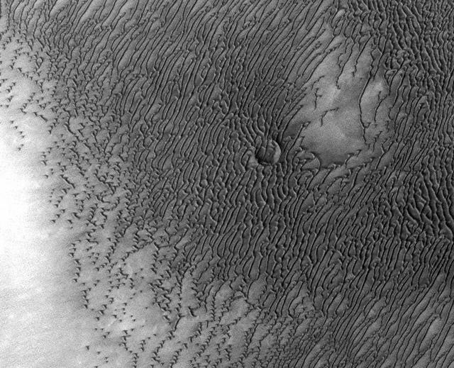 A vast dune field lies near the northern polar cap of Mars. Seen here in summer, the dunes have partially buried an impact crater about 1,000 3,300 feet wide. This image is from NASA Mars Odyssey.