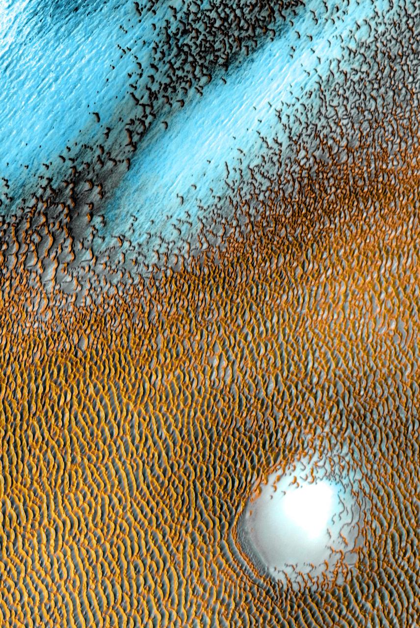 A sea of dark dunes, sculpted by the wind into long lines, surrounds the northern polar cap covering an area as big as Texas in this false-color image from NASA Mars Odyssey, the longest-working Mars spacecraft in history.