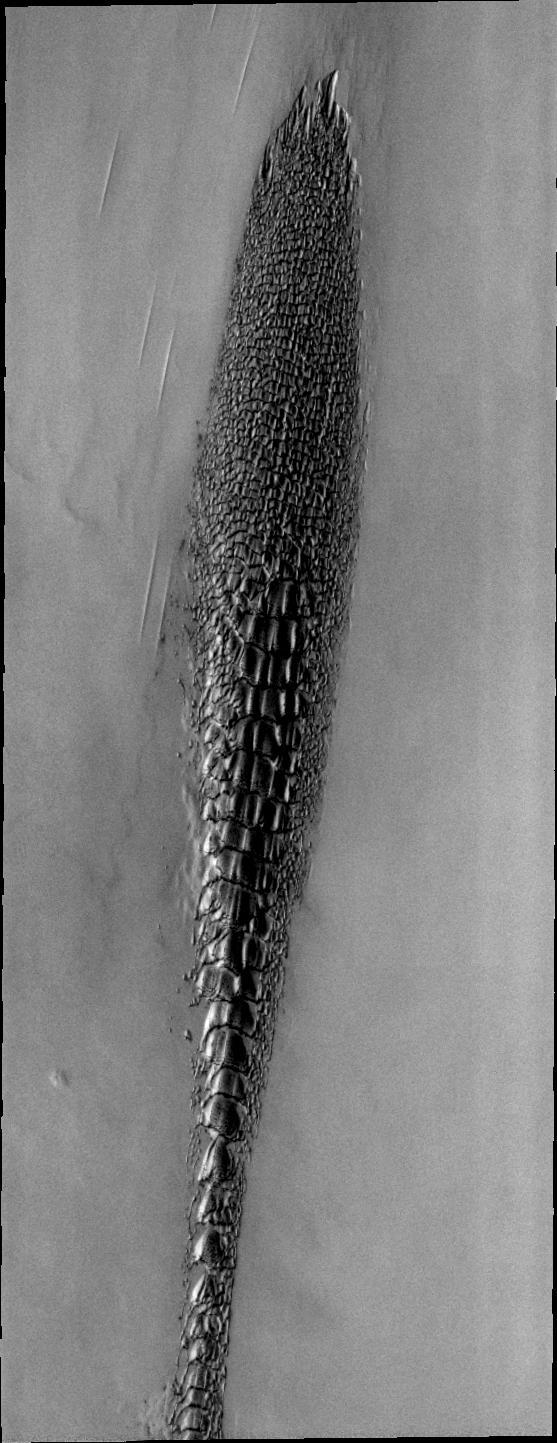 Although this may look like a hostile alien life form, it actually a complex line of sand dunes near the northern ice cap of Mars. This image is from NASA Mars Odyssey, one of an All Star set.