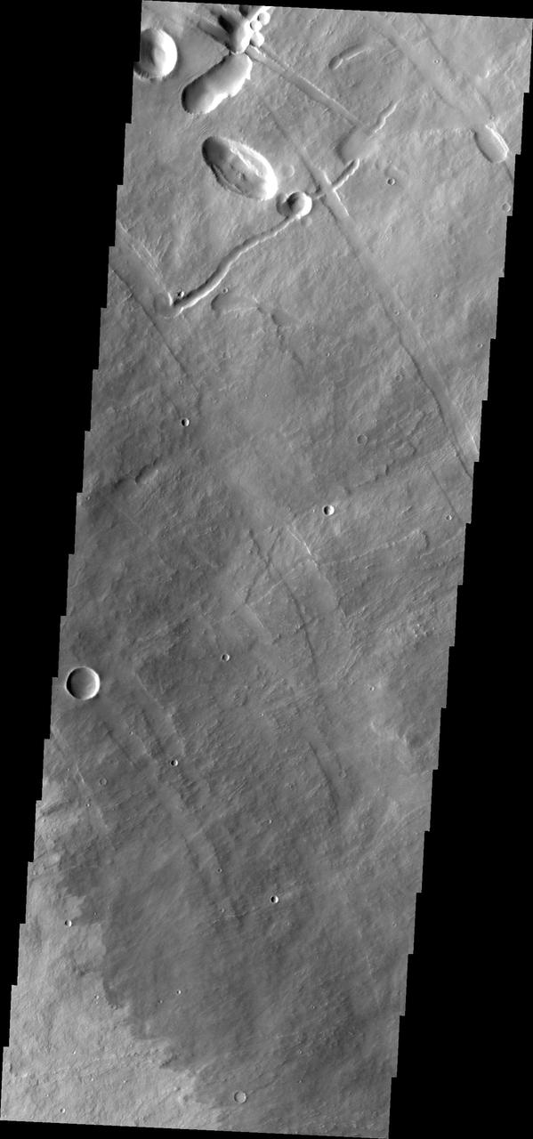 This image from NASA Mars Odyssey shows a portion of the northeastern flank of Pavonis Mons, one of the large Tharsis volcanoes.
