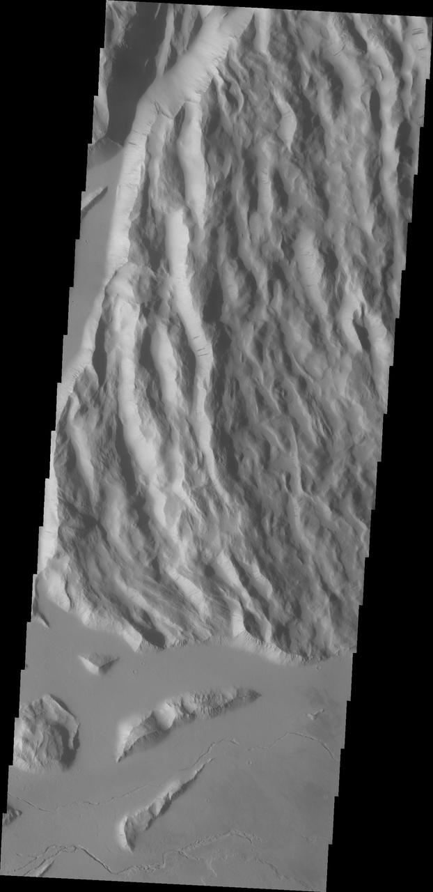 Located to the northeast of Olympus Mons, Cyane Sulci is a complexly fractured region of material inundated on its margins by volcanic flows. This image was captured by NASA Mars Odyssey on Oct. 24, 2010.