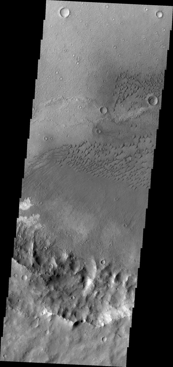 These dunes are located on the floor of an unnamed crater in Terra Cimmeria in this image captured by NASA Mars Odyssey spacecraft.
