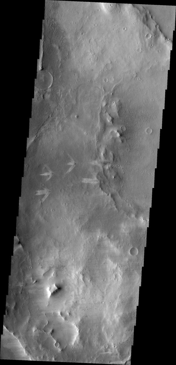 The triple tails of windstreaks behind these small craters in Arabia Terra indicate multiple wind directions in the area in this image from NASA Mars Odyssey.