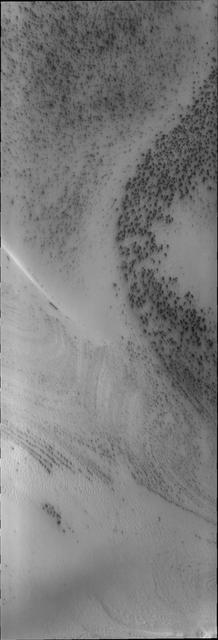Dark spots appear on the south polar ice cap just after the sun starts to shine in this image captured by NASA Mars Odyssey.