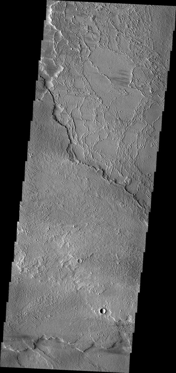 This image from NASA Mars Odyssey shows different flow surfaces in Daedalia Planum.