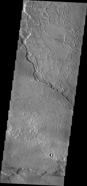 NASA image: Daedalia Planum