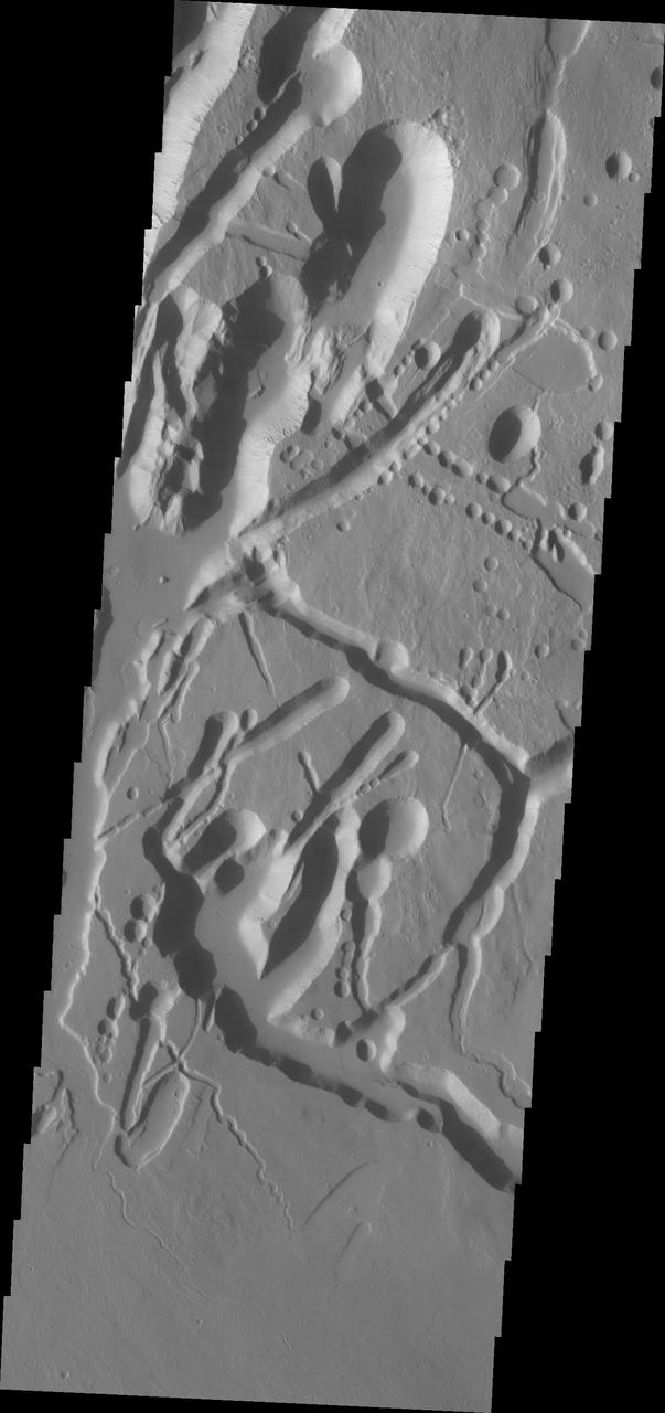 This image from NASA Mars Odyssey shows collapse features on the southwest flank of Ascraeus Mons.