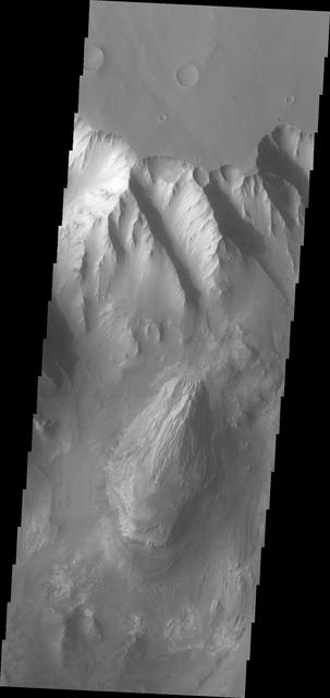 NASA image: Melas Chasma
