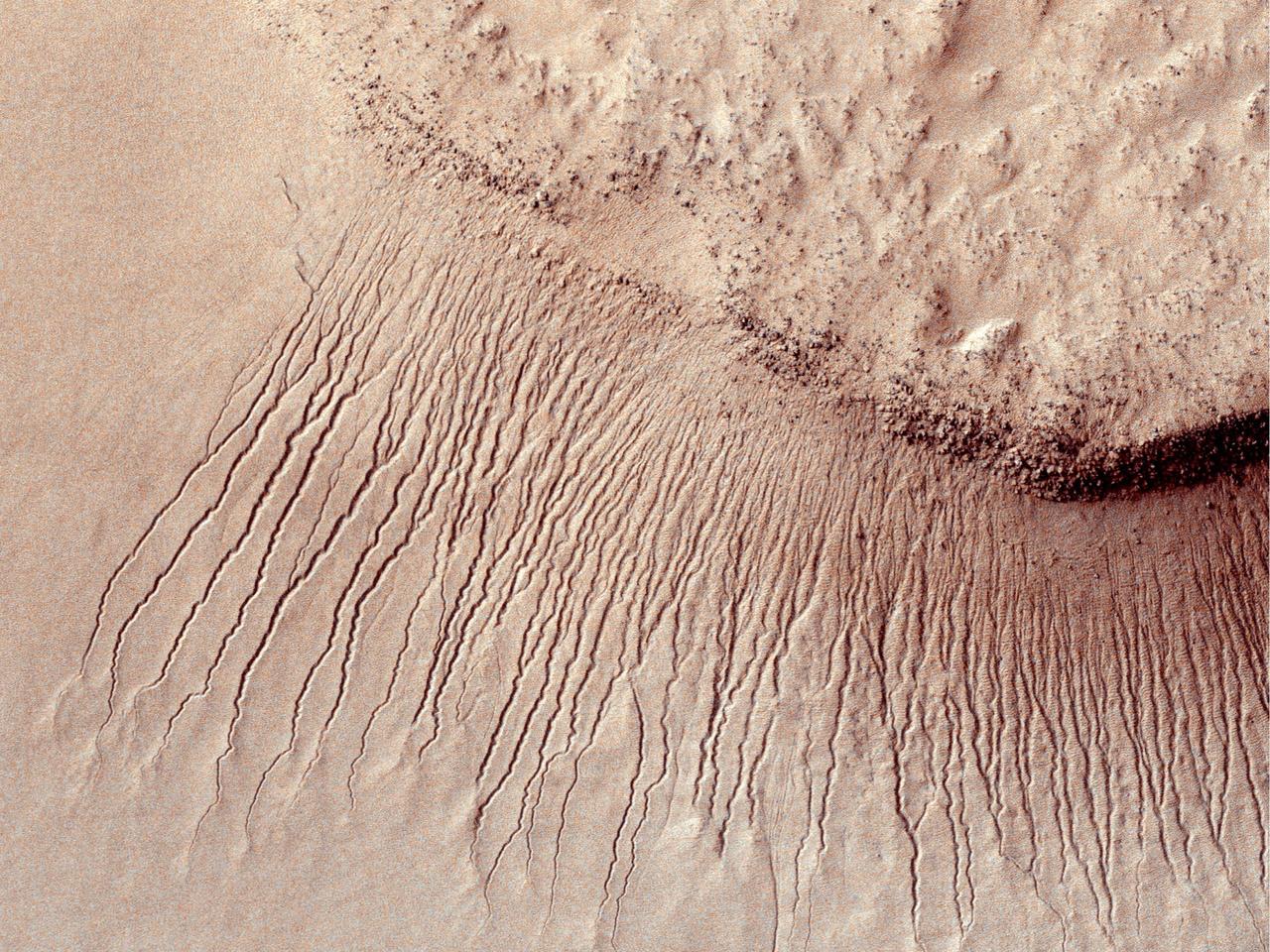 This NASA Mars Reconnaissance Orbiter shows many channels on a scarp in the Hellas impact basin. On Earth we would call these gullies. Some larger channels on Mars that are sometimes called gullies are big enough to be called ravines on Earth.