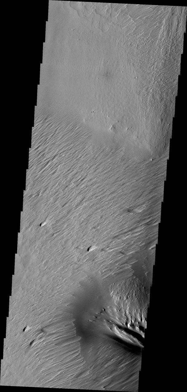 Constant sand-blasting by the winds on Mars have eroded and sculpted the surface in the equatorial region around Medusae Fossae in this image captured by NASA Mars Odyssey.