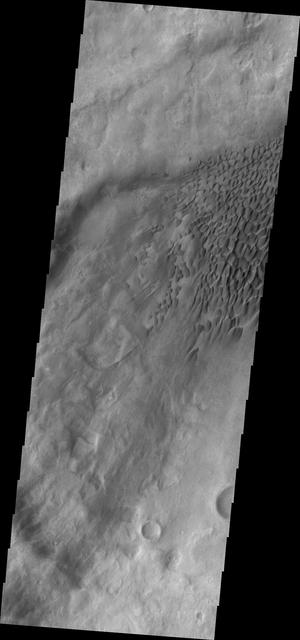 NASA image: Dune Fields in Aonia Planum and Aonia Terra