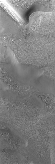 Surface textures vary in relation to topography on the south polar cap. Trough sides and floors are different from the flat top surface of the cap. This image was captured by NASA Mars Odyssey.
