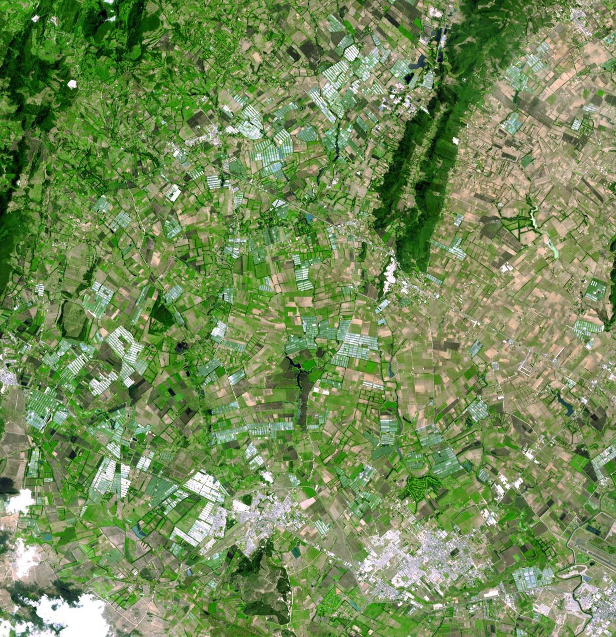 This image from NASA Terra spacecraft shows an area outside of Bogota, Colombia, one of the country two major flower growing areas.