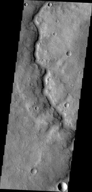 NASA image: Channel in Arabia Terra