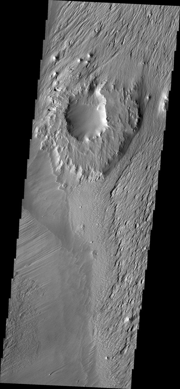 The ejecta materials of this crater are more resistant to erosion than the surrounding materials. The wind has eroded pits and other features around the crater causing it to become a topographic high. This image is from NASA Mars Odyssey.