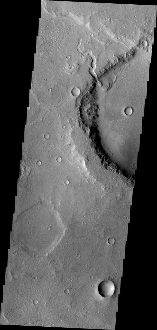 This unnamed crater in northern Terra Cimmeria has a small channel that created a delta feature. Such features are important indicators of liquid water in Mars past as shown in this image from NASA Mars Odyssey.
