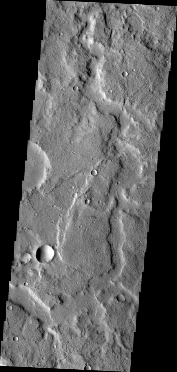 Channels are a common feature on the margin of Terra Cimmeria where the elevation changes from highland to northern lowlands in this image captured by NASA Mars Odyssey.