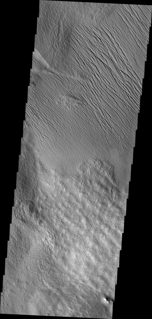 It is unclear what process has eroded the surface in this part of the Tharsis region. Wind is likely, but it could also be a record of water erosion. This image was captured by NASA Mars Odyssey.