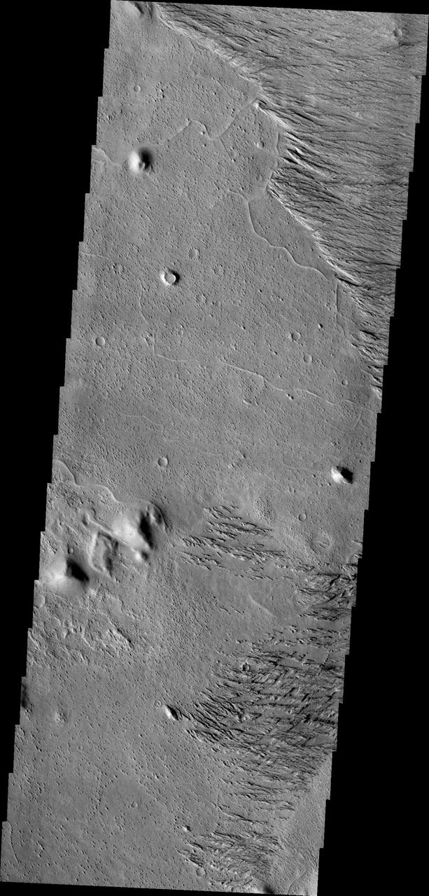 This image from NASA Mars Odyssey is located west of Zephyria Planum. Surfaces in this region have undergone extensive erosion by the wind. Wind is one of the most active processes of erosion on the surface of Mars today.