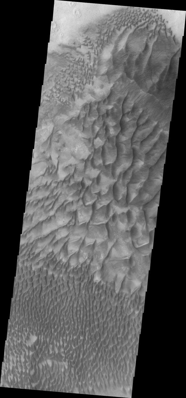 Dunes on the floor of Russell Crater vary from individual dunes, to a large hook shaped, towering sand sheet as seen by NASA Mars Odyssey.