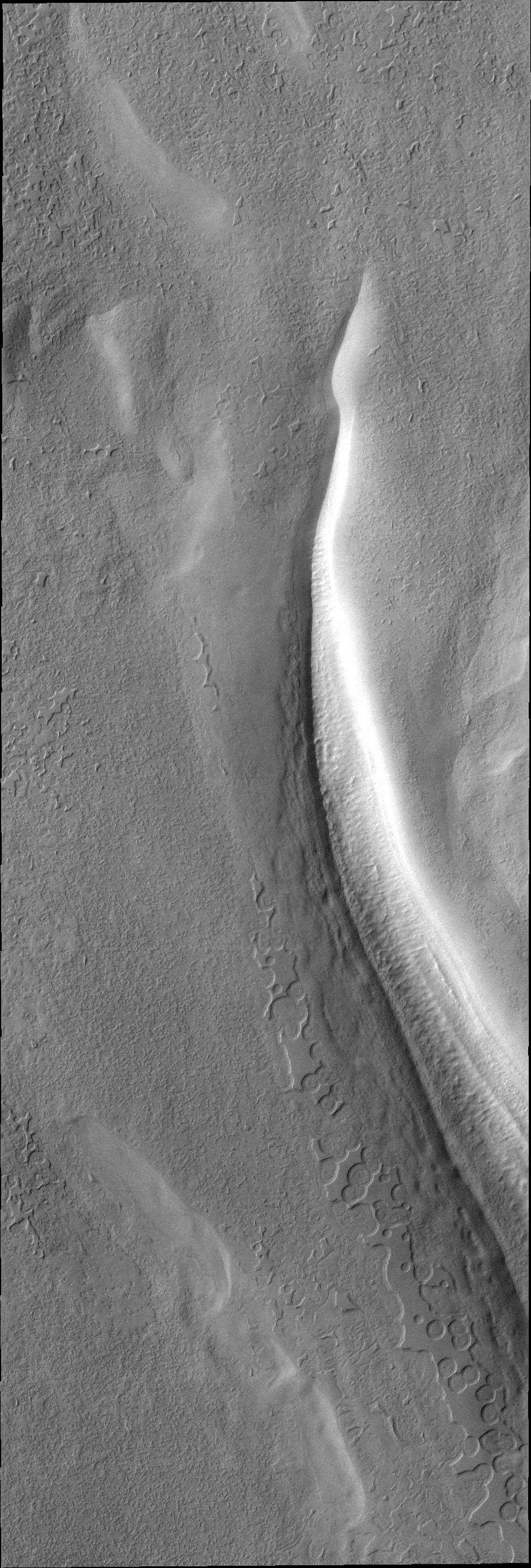 V40448004