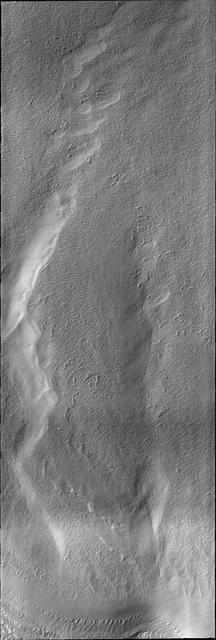 South Polar Surface