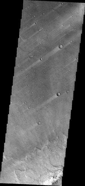 These windstreaks are located in northern Terra Tyrrhena. The wind was blowing from NE to SW to create the streaks in the lee of the craters. This image is from NASA Mars Odyssey.