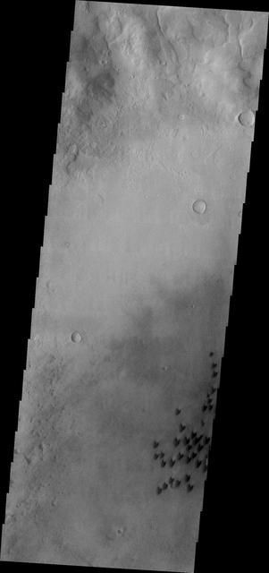 NASA image: Arkhangelsky Crater Dunes