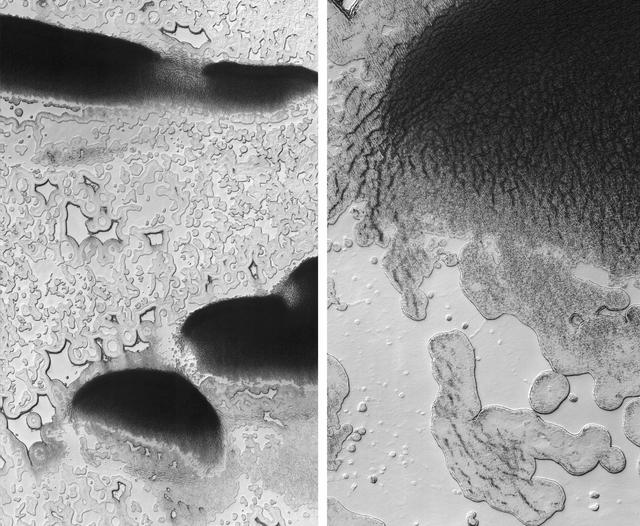 NASA image: Pitting from Sublimation of Underlying Dry-Ice Layer