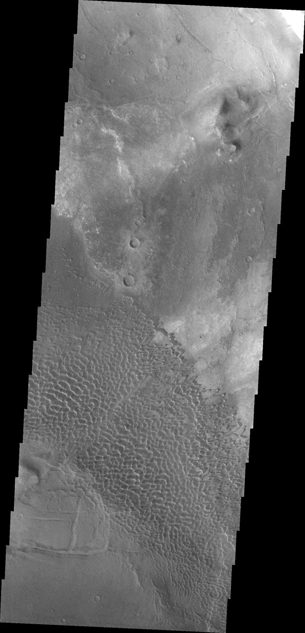 These dunes are moving along the hard volcanic surface Nili Patera in Syrtis Major. This image was captured by NASA Mars Odyssey.