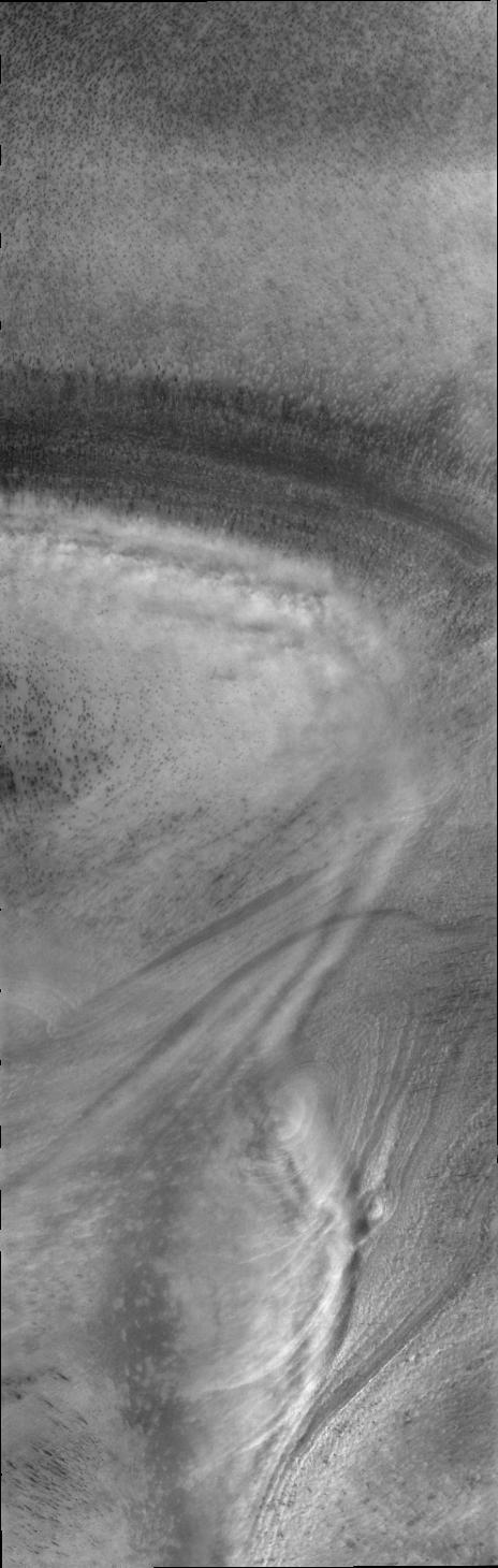 This image captured NASA Mars Odyssey by of low altitude clouds perfectly illustrates how the surface topography of the polar cap controls the creation of visible clouds.
