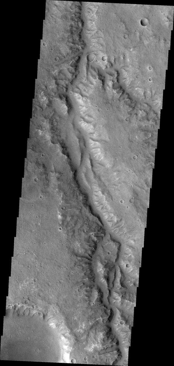This image from NASA Mars Odyssey is of an unnamed channel in Margaritifer Terra.
