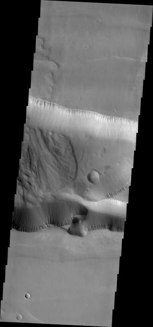 NASA image: Tithonium Chasma