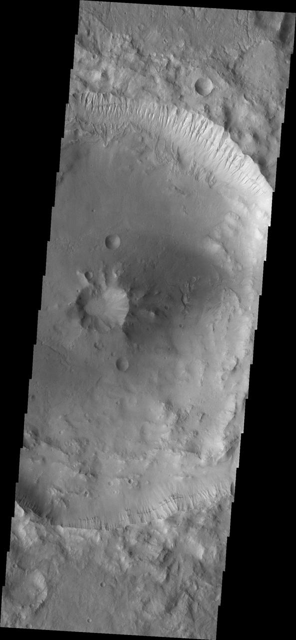 Impact craters can have a variety of floor features. This image from NASA Mars Odyssey is a central peak/pit combination crater in Terra Cimmeria.