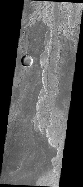 Some of the most pristine volcanic flows on Mars are from Arsia Mons as shown in this image captured by NASA Mars Odyssey.