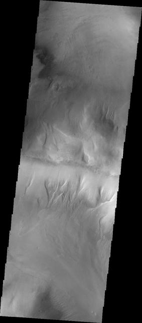 NASA Mars Odyssey spacecraft shows that gullies have formed on the side of this ridge in northwestern Argyre Planitia.