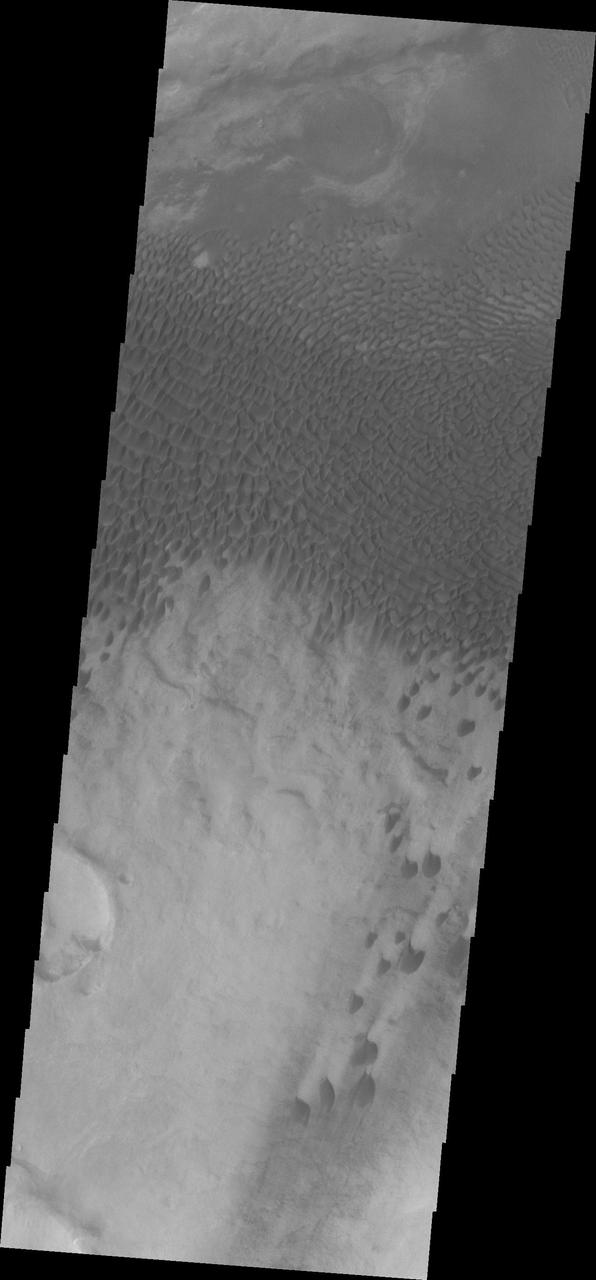 NASA Mars Odyssey spacecraft captured this image of dunes located in Aonia Terra.