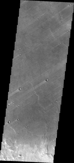 The windstreaks in this image captured by NASA Mars Odyssey are located on the plains of southern Syrtis Major Planum.