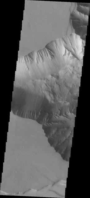 This image from NASA Mars Odyssey shows the western end of Candor Chasma, including a large landslide deposit.