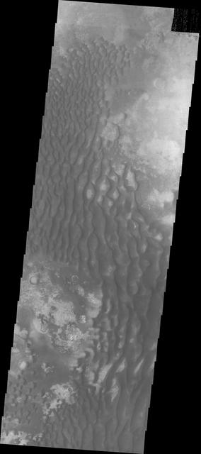 NASA image: Kaiser Crater Dunes