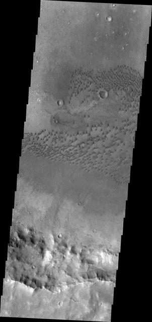 NASA image: Terra Cimmeria Dunes