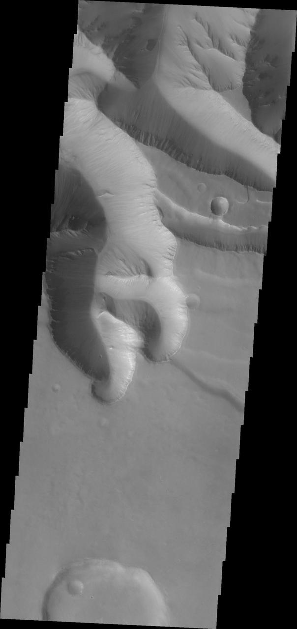 Huge gullies, like these captured by NASA 2001 Mars Odyssey, line both rims of Ius Chasma.
