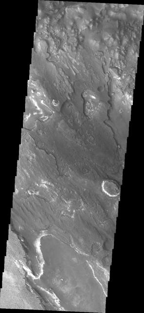 This image captured by NASA 2001 Mars Odyssey shows a portion of Aram Chaos.