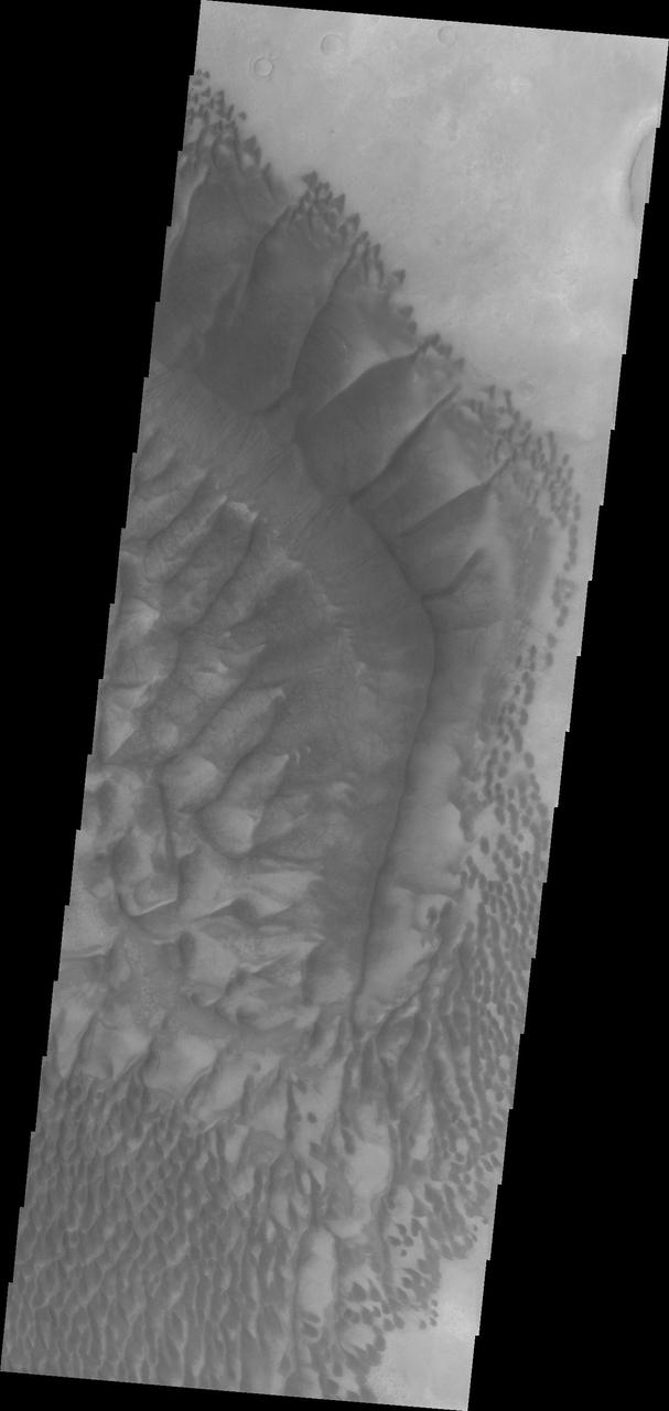 Multiple layers of material are located in Terby Crater in this image from NASA 2001 Mars Odyssey.